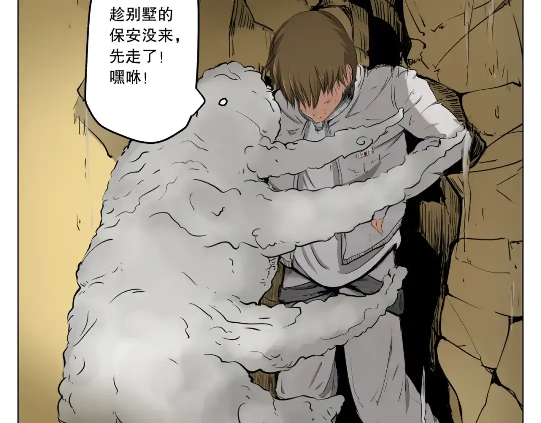 第61页