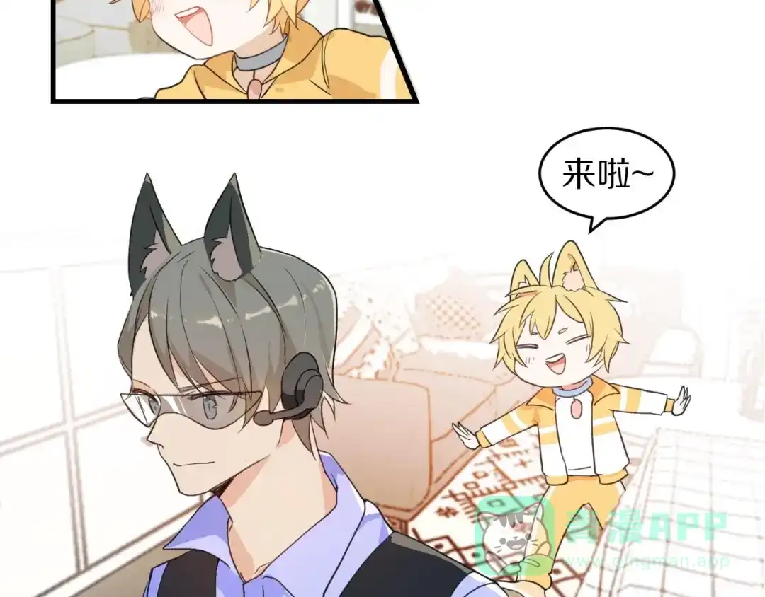 第41页