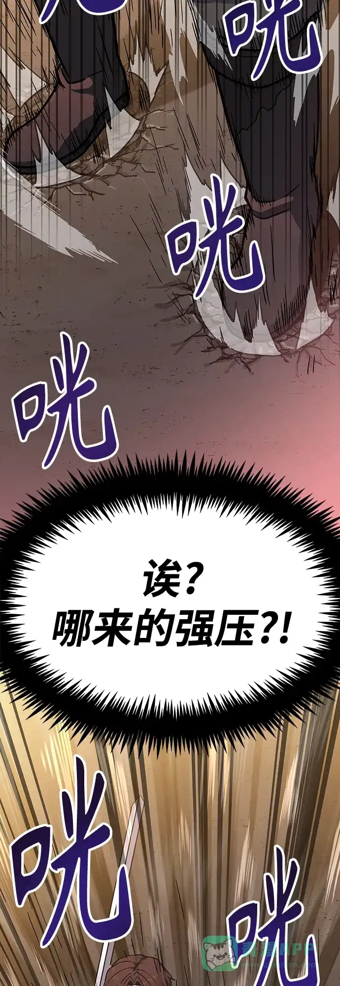 第116页