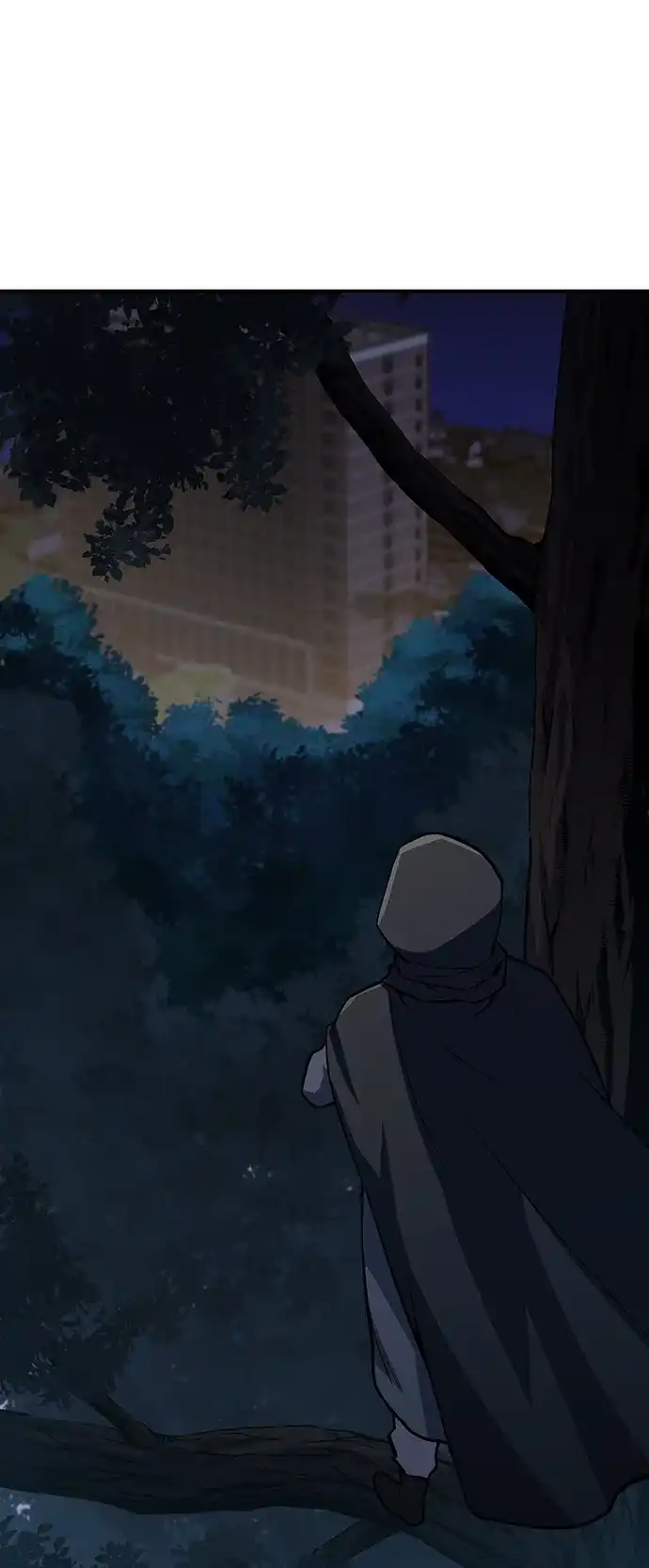 第215页