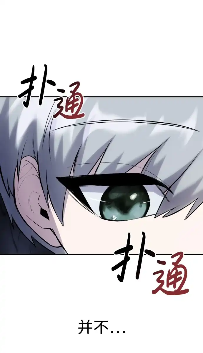 第244页
