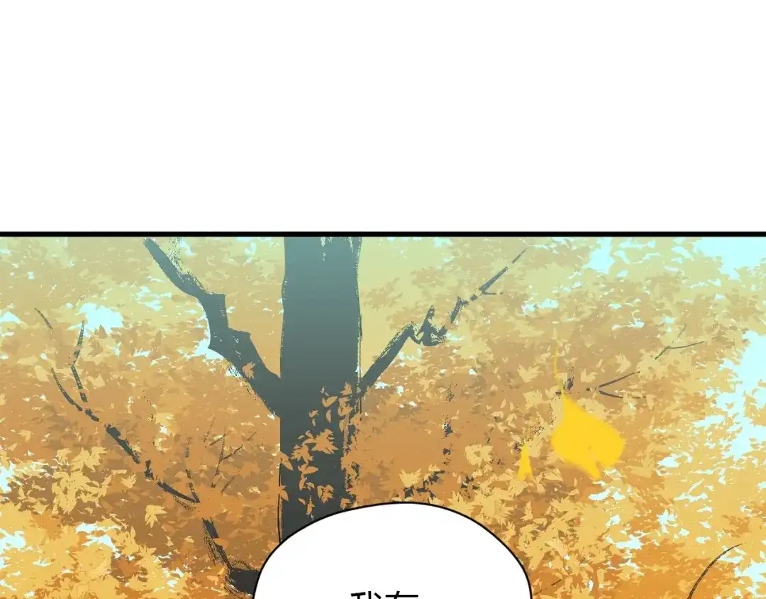 第217页