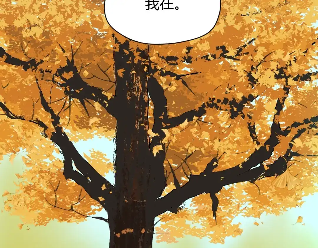 第218页