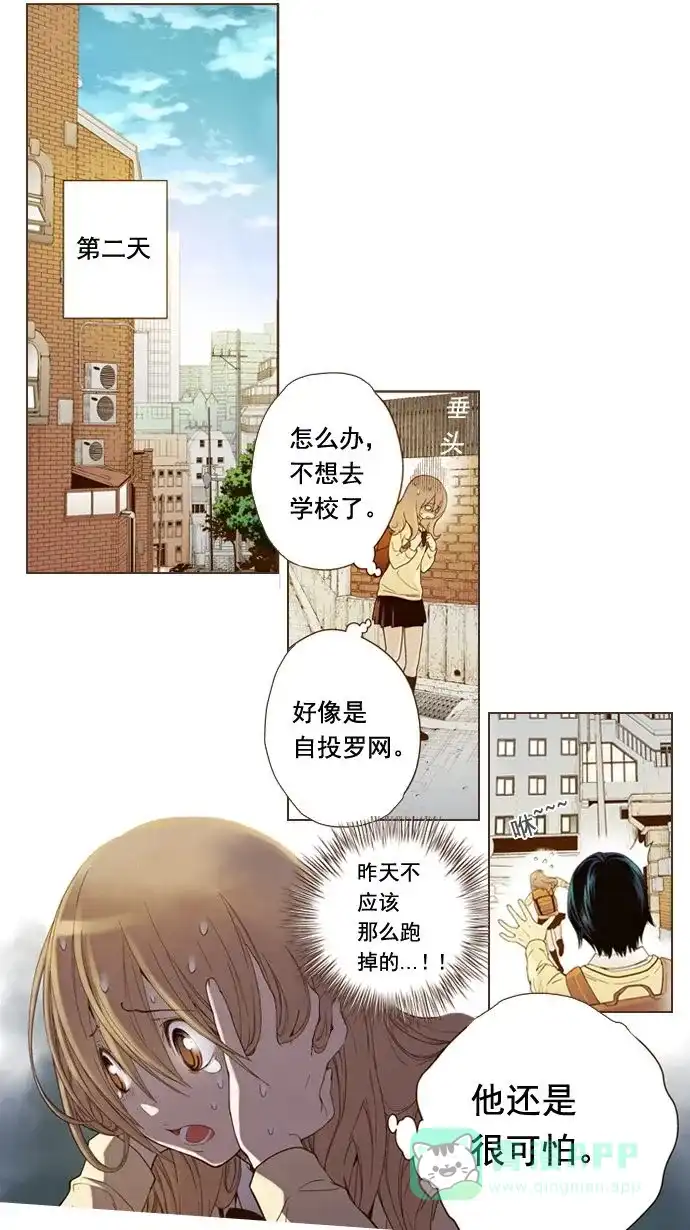 第47页