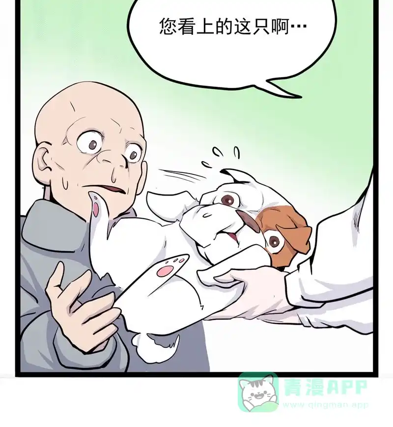 第126页