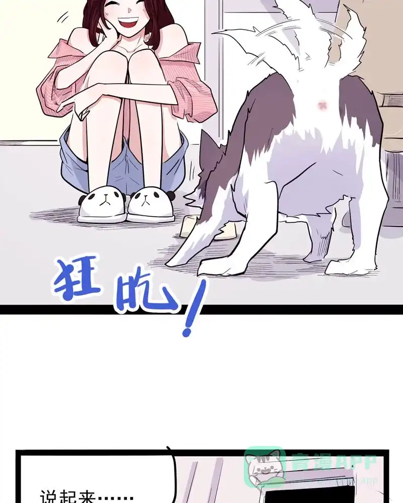 第64页