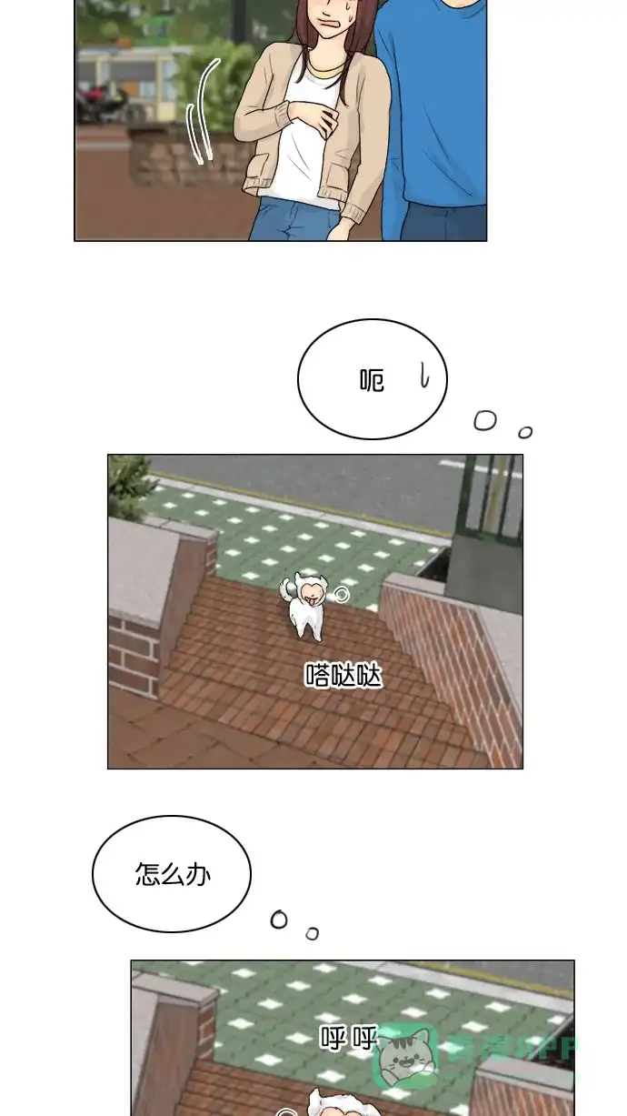 第44页