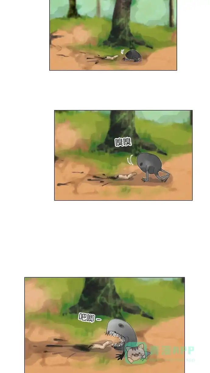 第47页