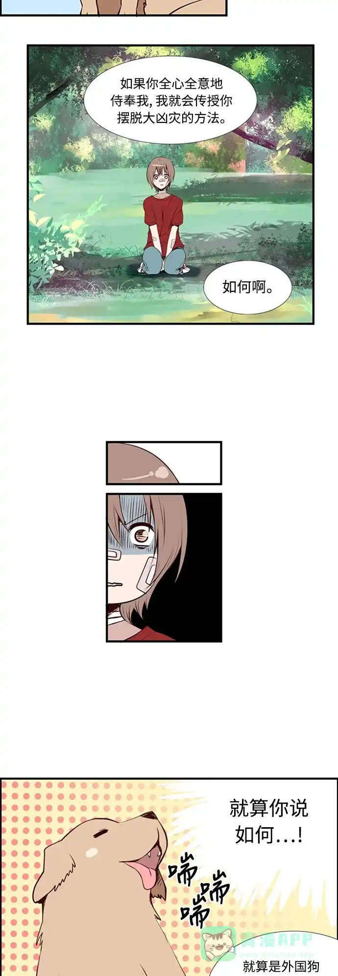 第43页