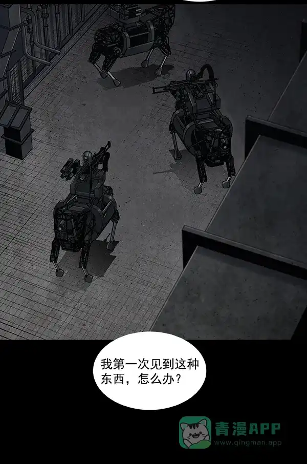 第55页