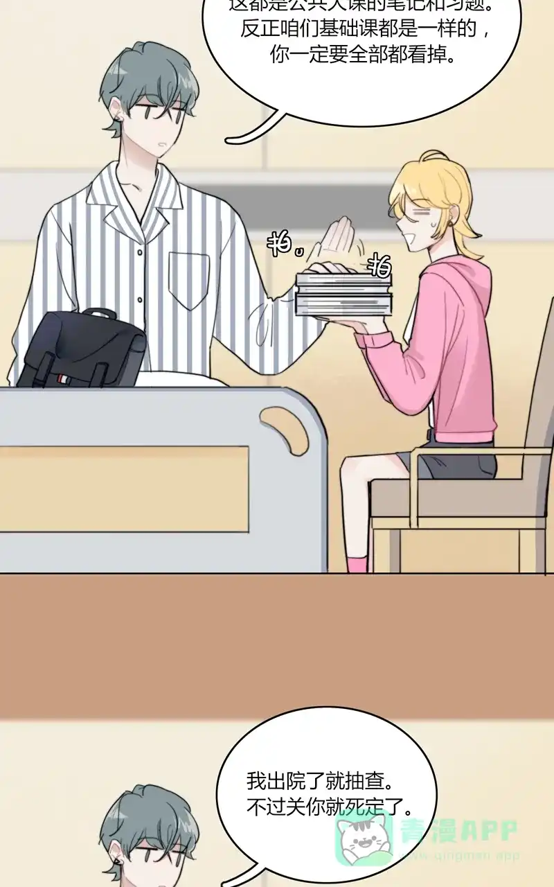 第31页