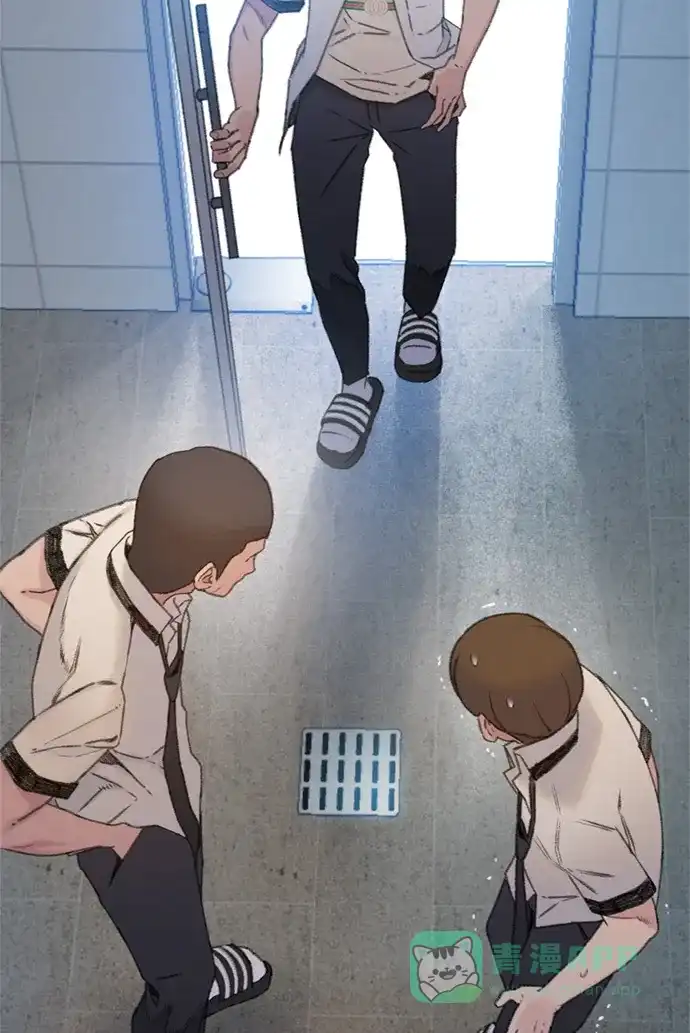 第95页
