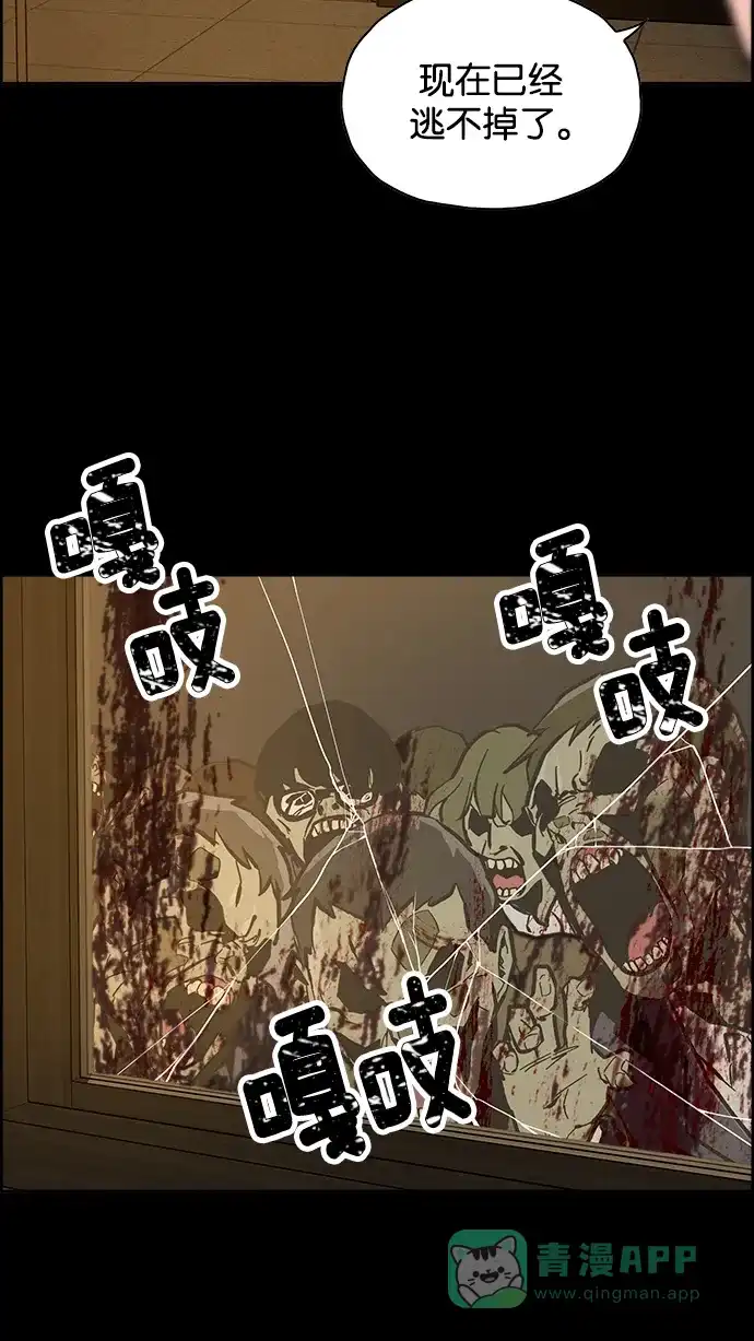 第204页