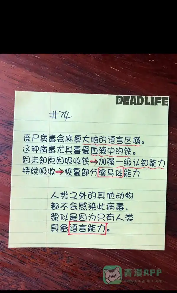 第101页