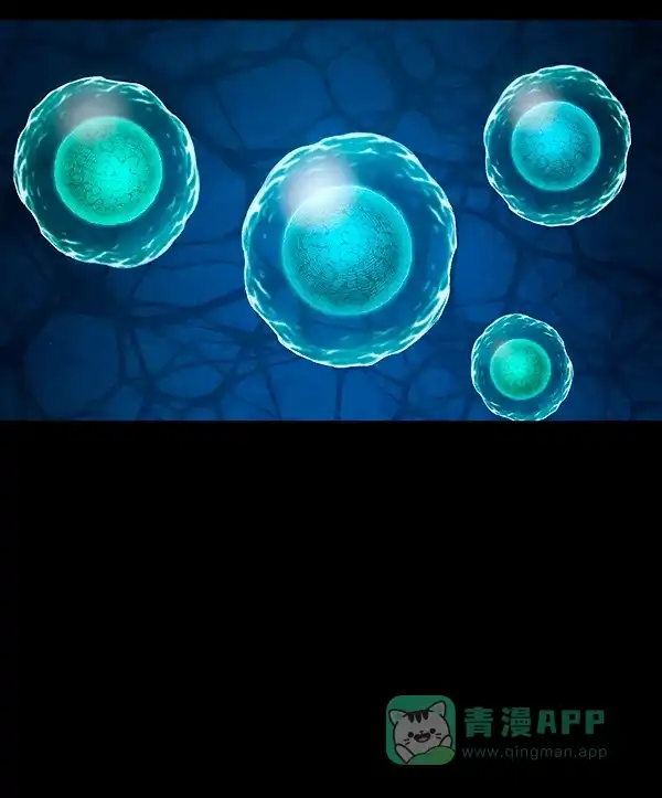 第182页