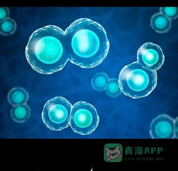 第186页