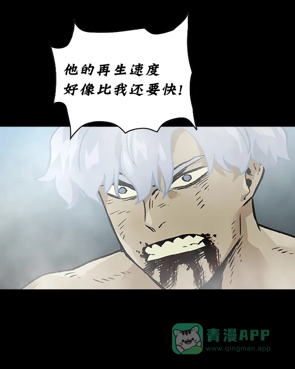第223页