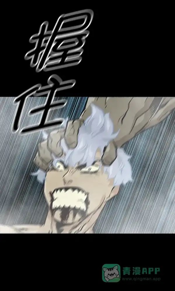 第256页