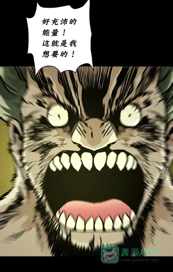 第191页