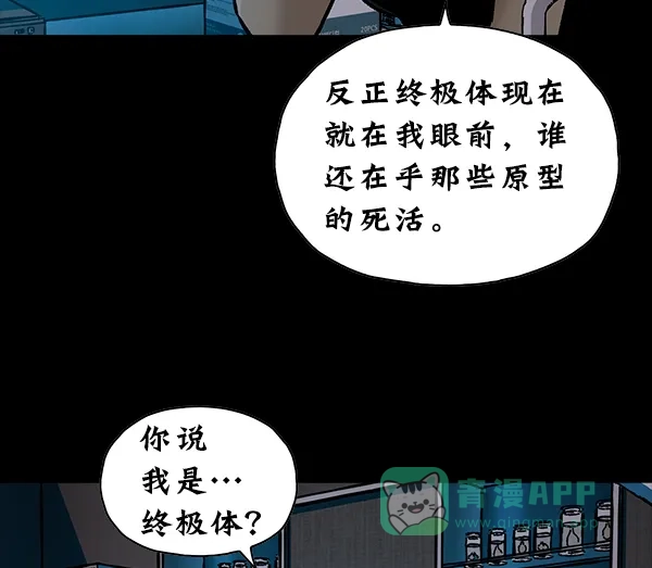 第335页