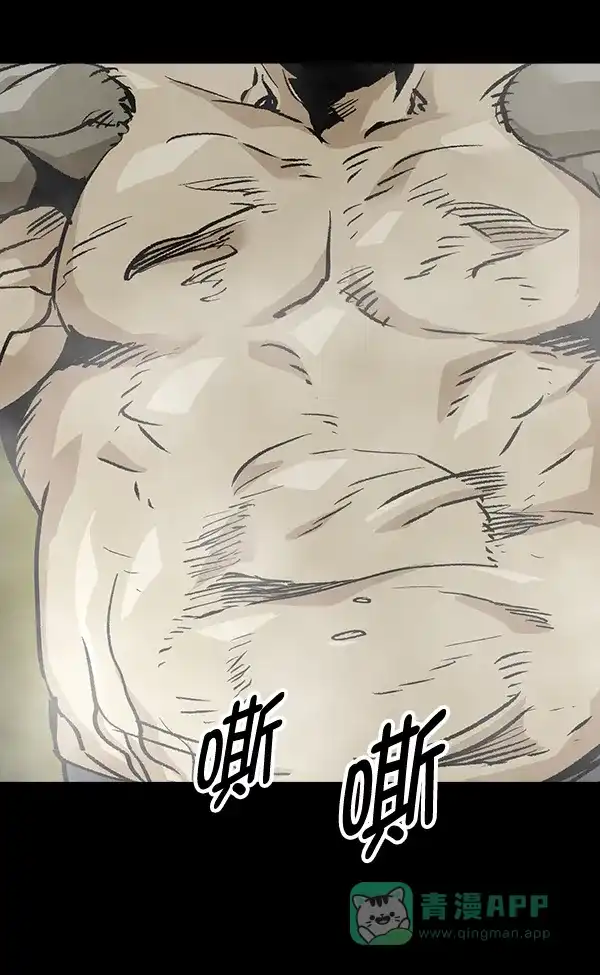第204页
