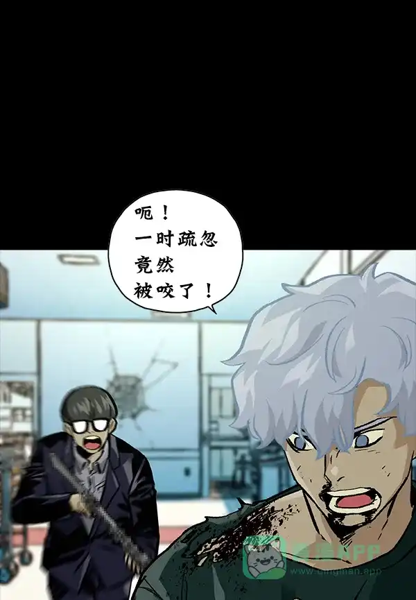 第204页