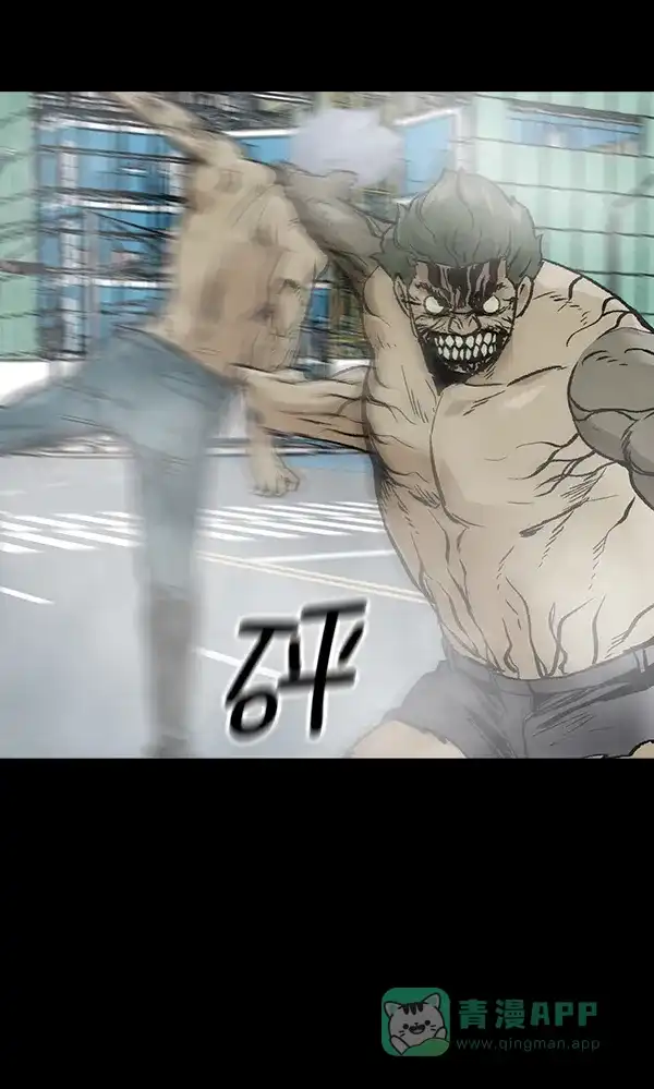 第255页