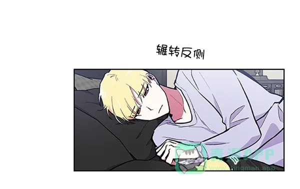 第48页