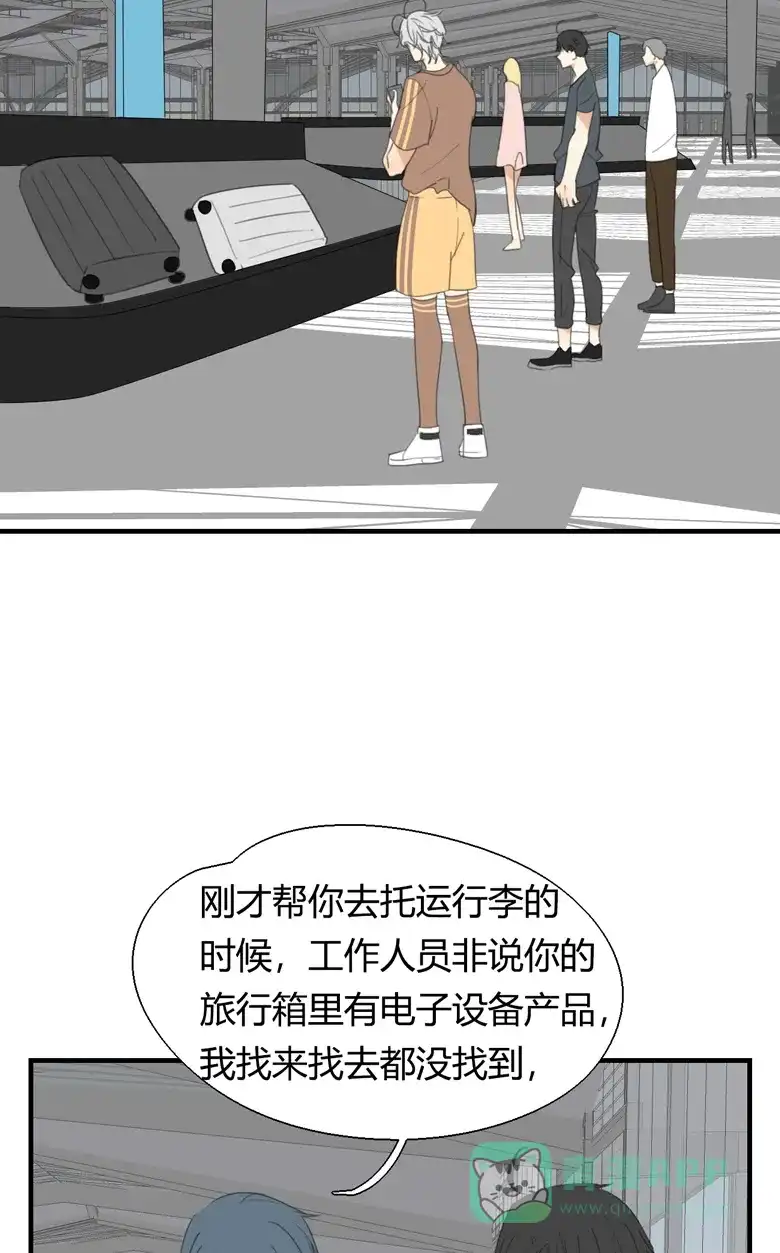 第31页