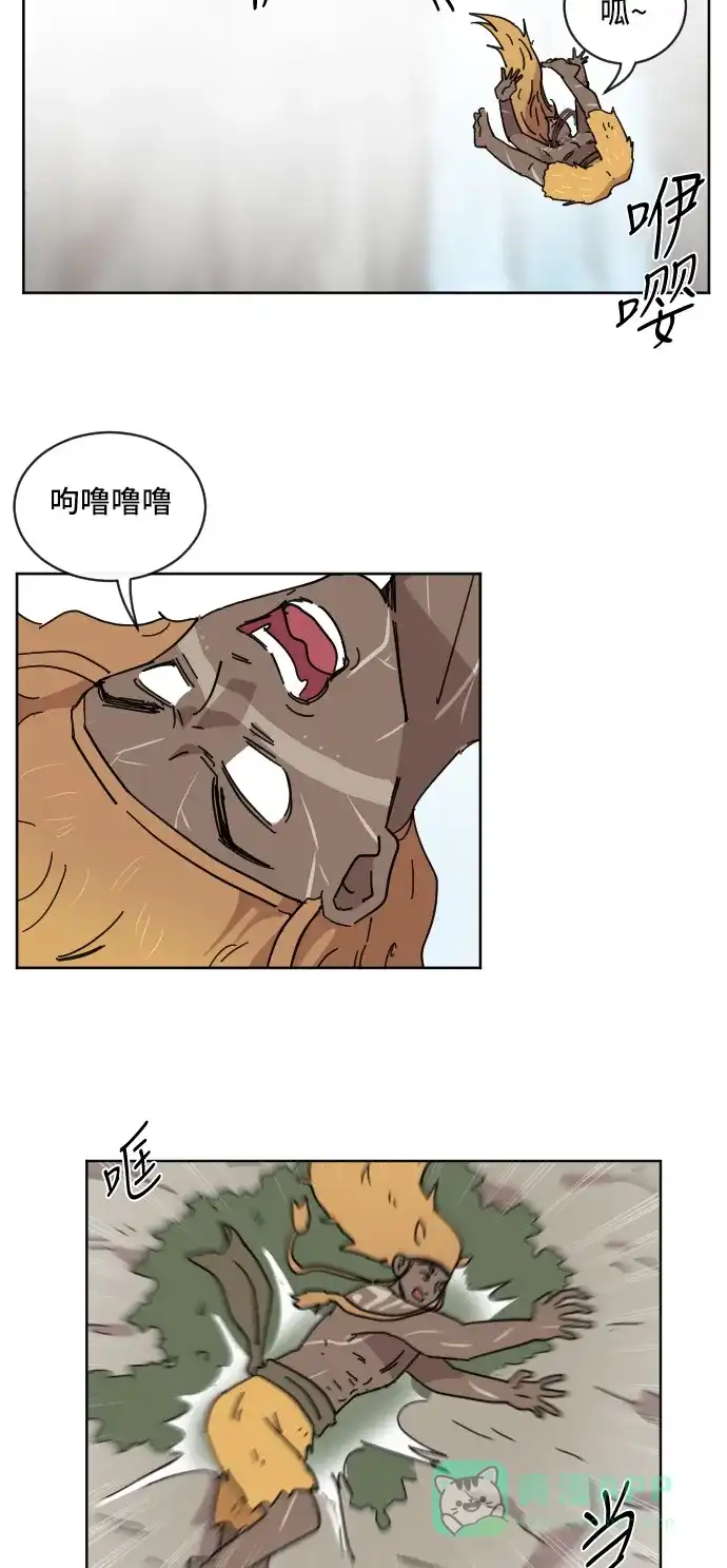 第43页