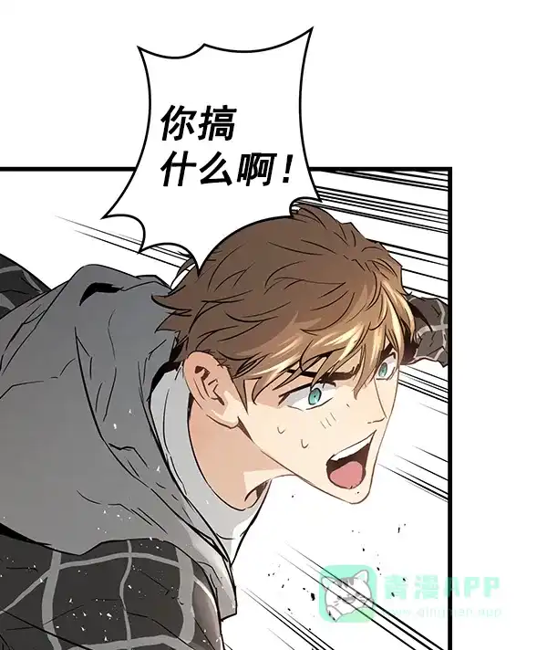 第195页