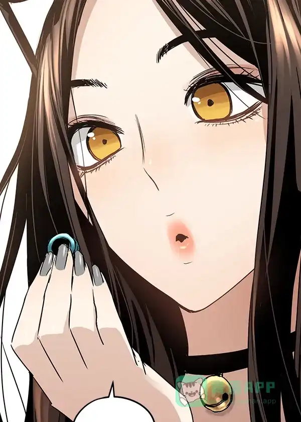 第204页