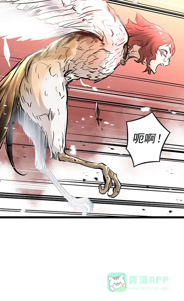 第211页