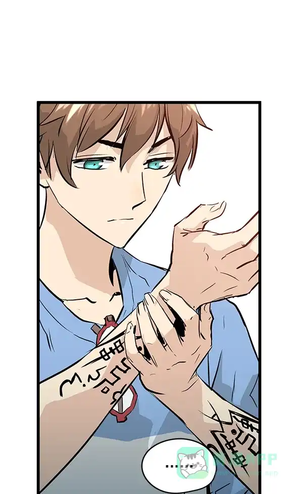 第256页
