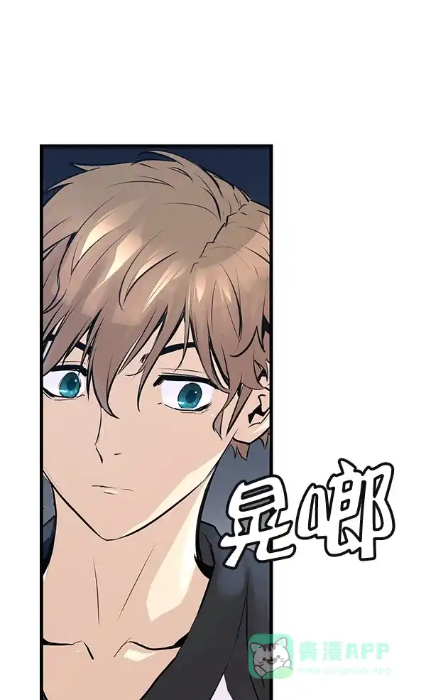 第235页
