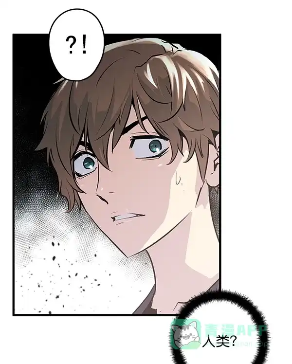 第238页