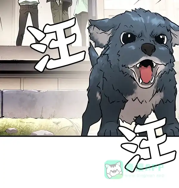 第97页
