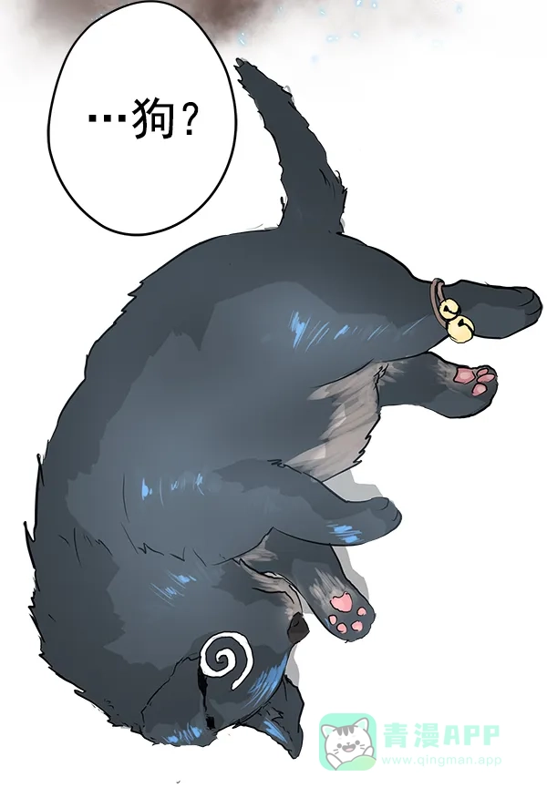 第185页