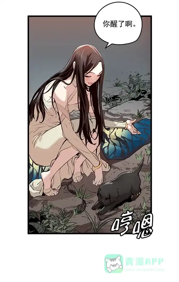 第41页