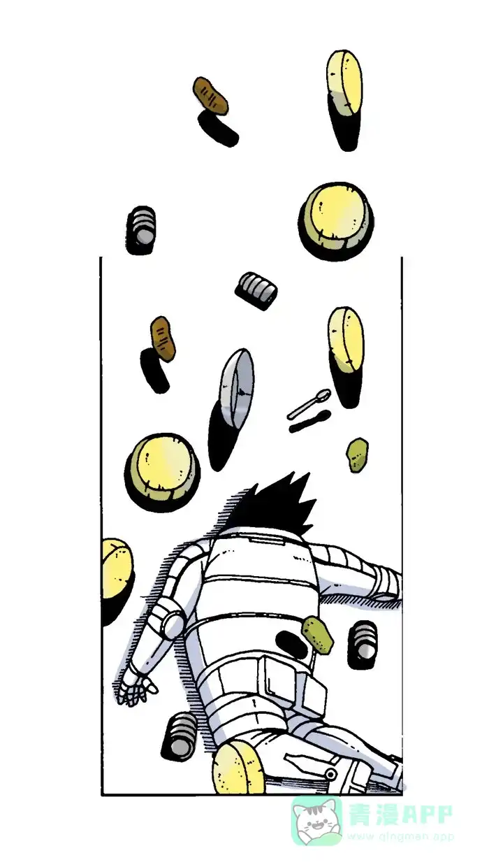 第43页