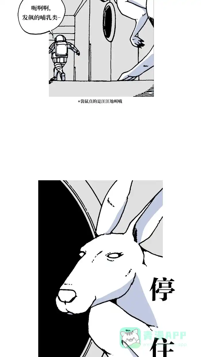 第46页