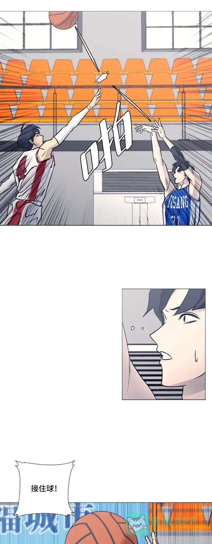 第41页