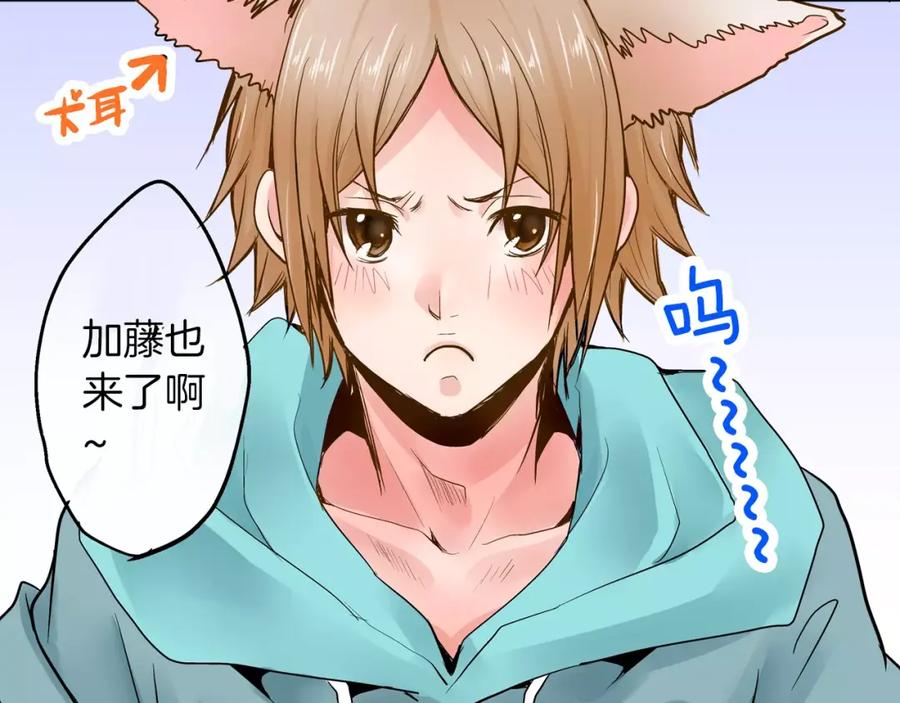 第41页