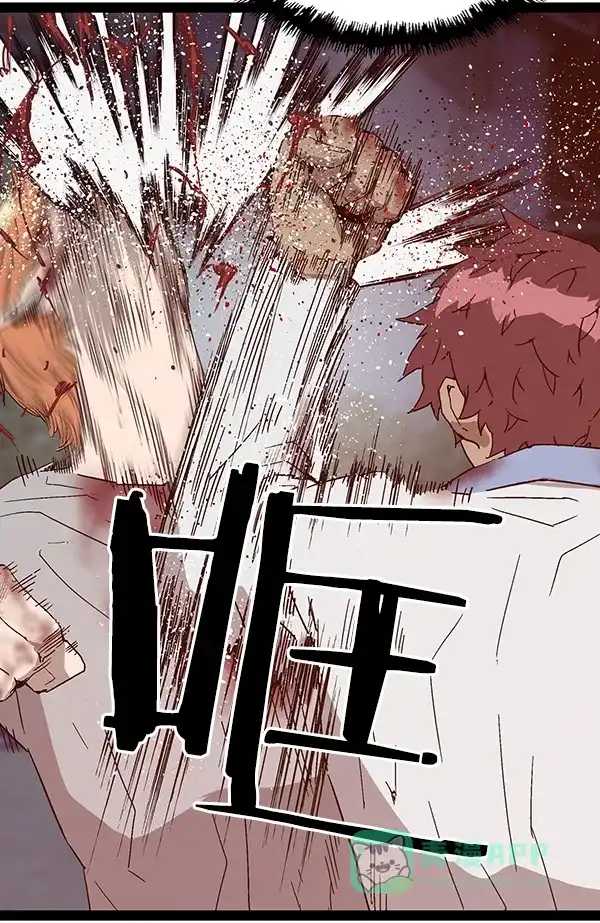 第116页