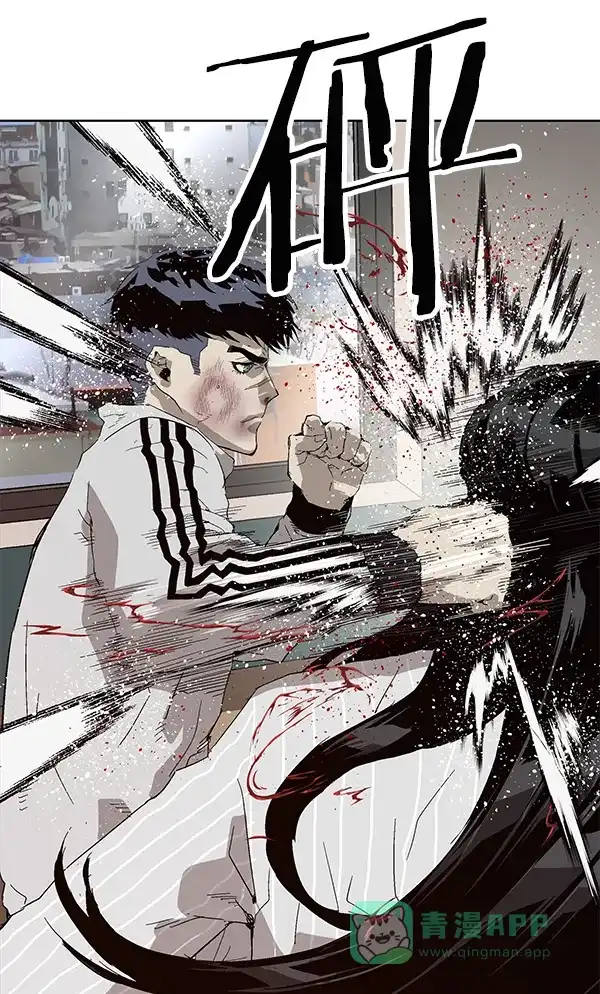 第117页