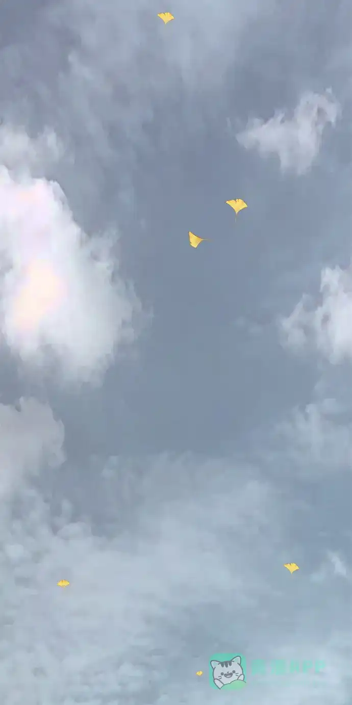 第170页