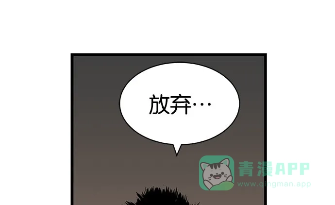 第224页