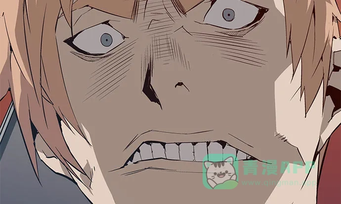 第251页