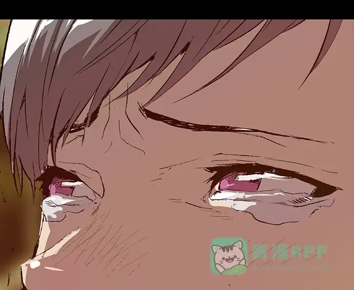 第184页
