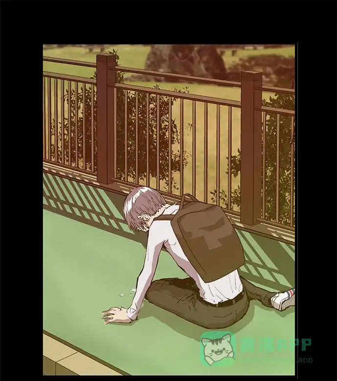 第204页
